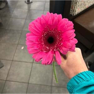 Meet your Posher, Naomi